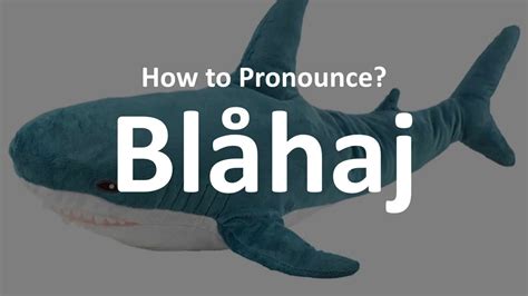 how to pronounce blahaj|blahaj shark meaning.